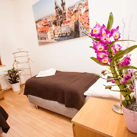 Wenceslas Square Lofts Apartment *